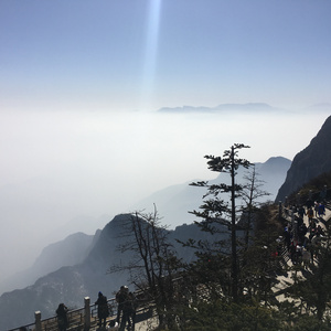 日本熟妇大乳八木梓纱部长
