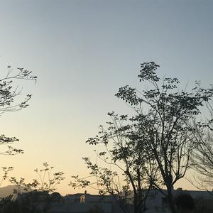 日本熟妇大乳八木梓纱部长
